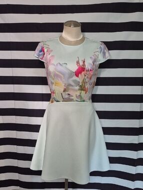 Ted Baker Hanging Gardens Rivana Skater Dress